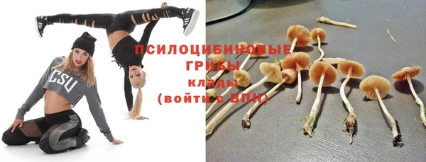 молекула духа Балахна