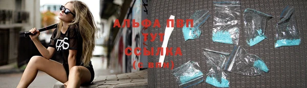 a pvp Аркадак