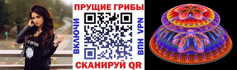 Галлюциногенные грибы Cubensis Каменск-Уральский