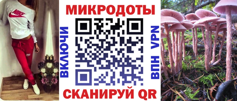 Псилоцибиновые грибы мухоморы Каменск-Уральский