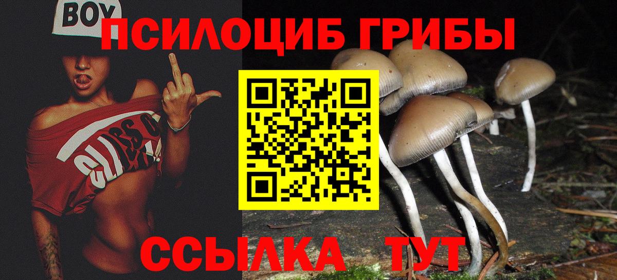 Псилоцибиновые грибы мицелий  Псилоцибиновые грибы мицелий  Вход с VPN  Каменск-Уральский 